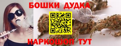 spice Гатчина