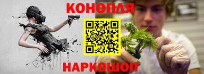 spice Гатчина