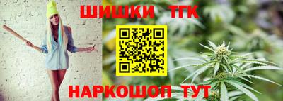 spice Гатчина