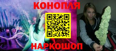 spice Гатчина