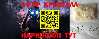 spice Гатчина